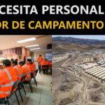 se necesita personal para trabajar en comedor de campamento minero