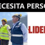Puestos disponibles para LIDERMAN
