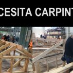 Se busca carpinteros