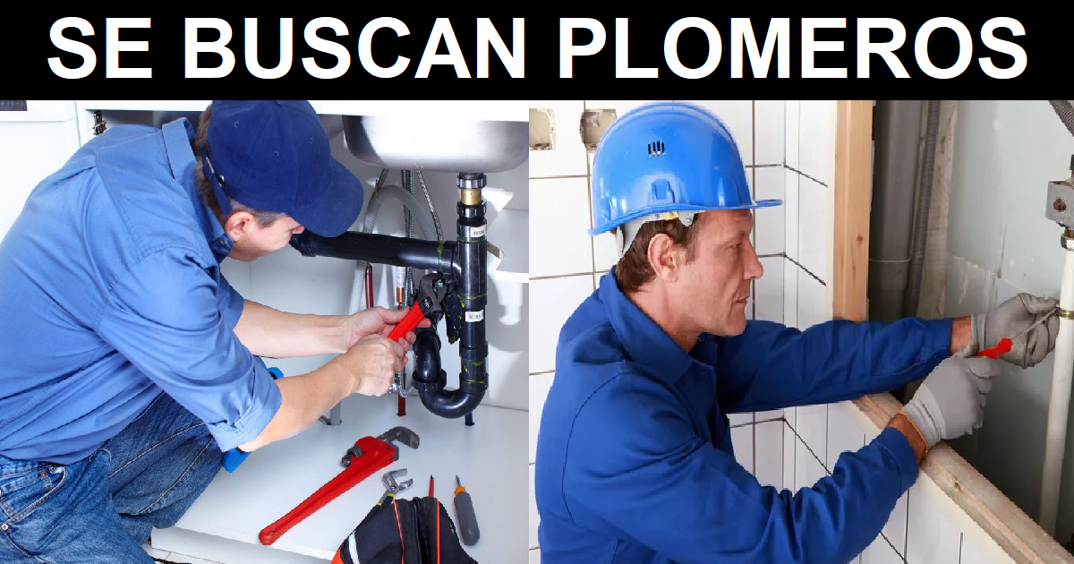 PLOMEROS