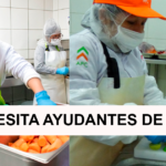 SE NECESITA AYUDANTES DE COCINA PARA CAMPAMENTO MINERO