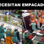 SE NECESITAN EMPACADORES