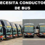 SE NECESITA CONDUCTORES DE BUS