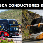 SE BUSCA CONDUCTORES DE BUS