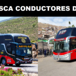 SE BUSCA CONDUCTORES DE BUS