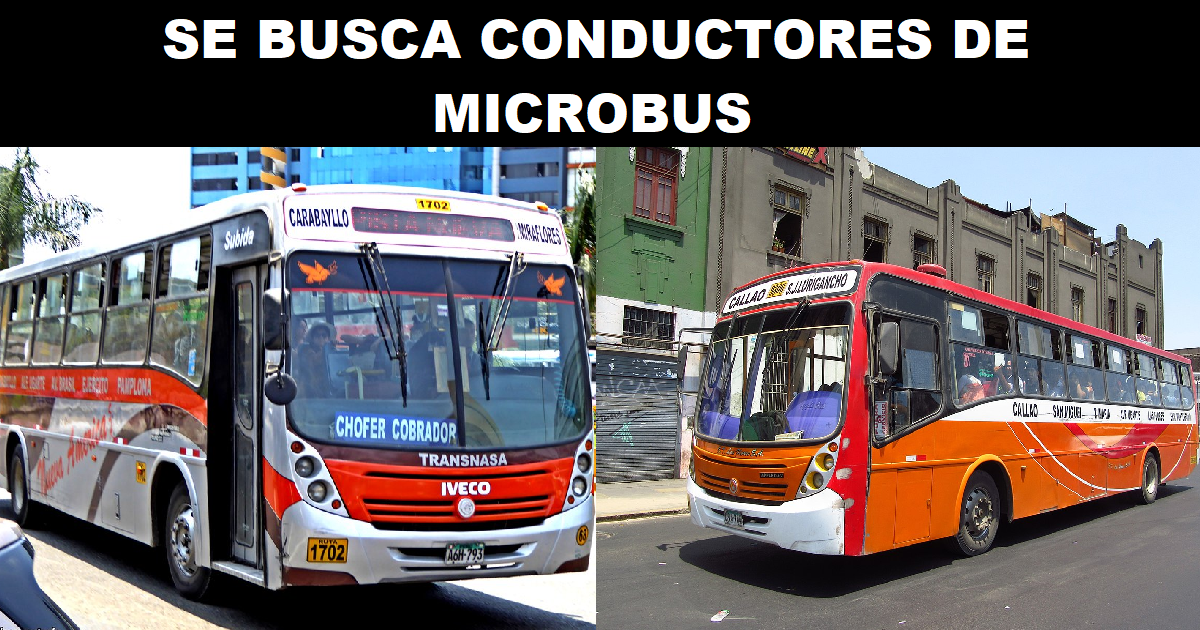 SE BUSCA CONDUCTORES DE MICROBUS