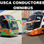 SE BUSCA CONDUCTORES DE OMNIBUS