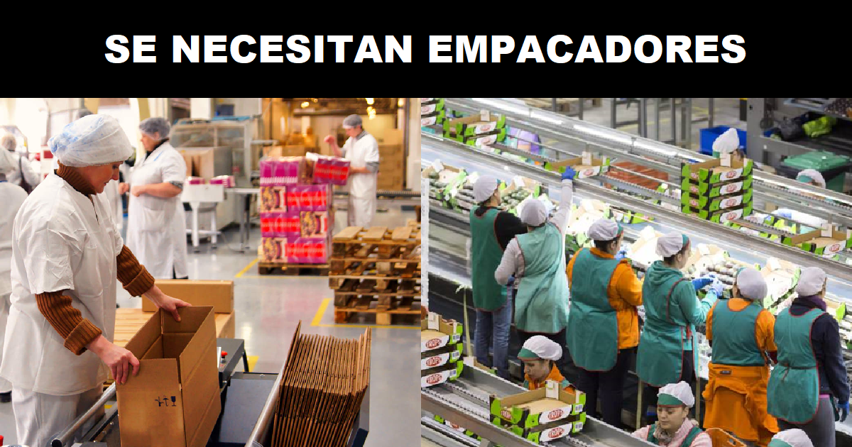 SE NECESITAN EMPACADORES