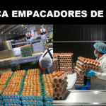 SE BUSCA EMPACADORES DE HUEVOS