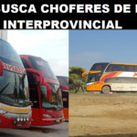 SE BUSCA CHOFERES DE BUS INTERPROVINCIAL