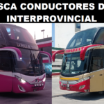 SE BUSCA CONDUCTORES DE BUS INTERPROVINCIAL