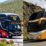 Se busca conductores de bus