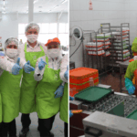 Se busca vajilleros para sector minero