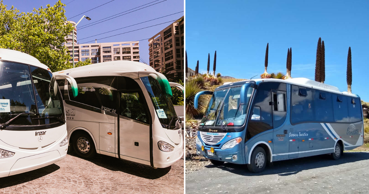 Se busca conductores de minibus