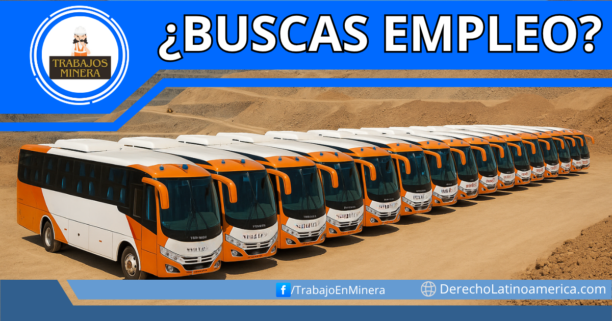 Choferes de minibús