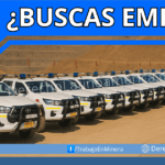 Se necesita Conductor de Vehículo A1