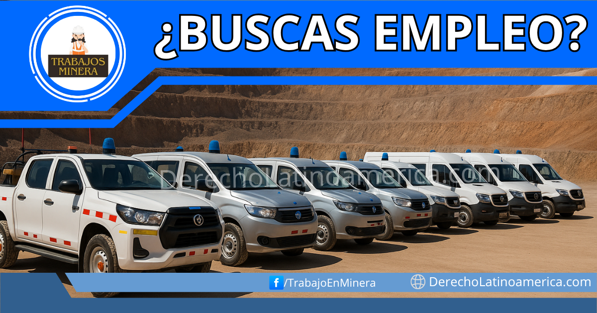 Conductor de Vehiculo A2