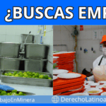 Oportunidad laboral para Ayudante de Cocina