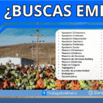 Convocatoria Laboral Presencial en Arequipa para Unidad Minera Inmaculada