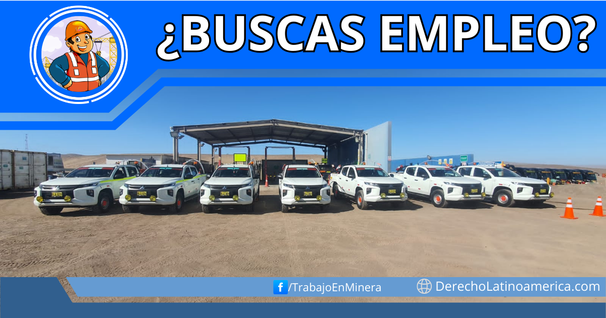 Choferes de camioneta y bus