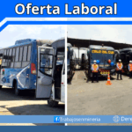 Conductores de bus y minibús
