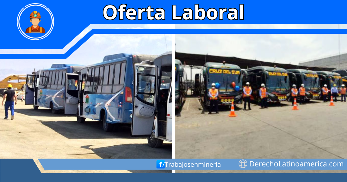 Conductores de bus y minibús