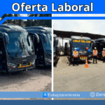 bus y minibús