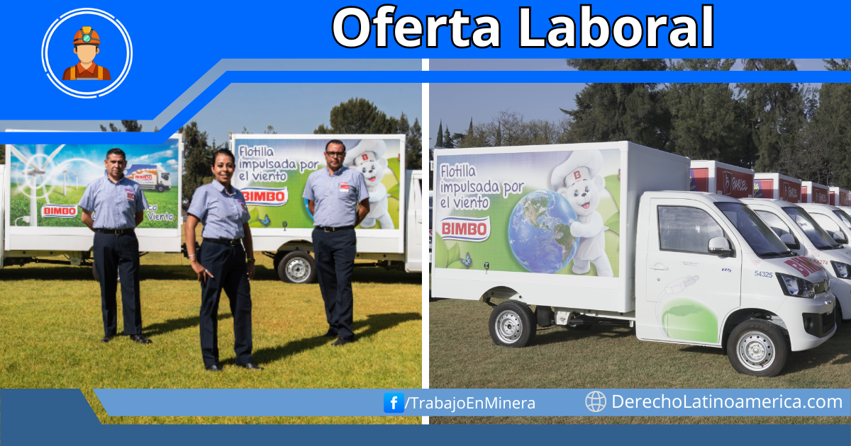 chofer para panaderia