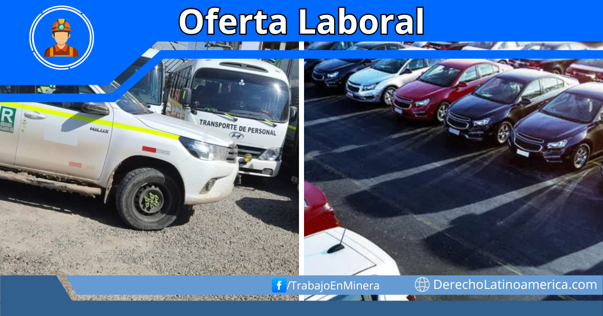 chofer vehículo liviano