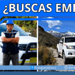 choferes de camioneta
