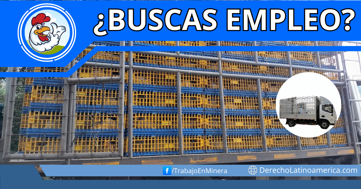 choferes para transporte de pollos