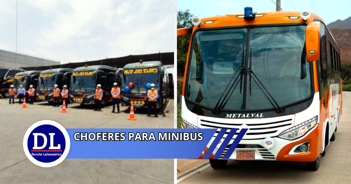 Choferes para minibus