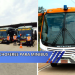 Choferes para minibus