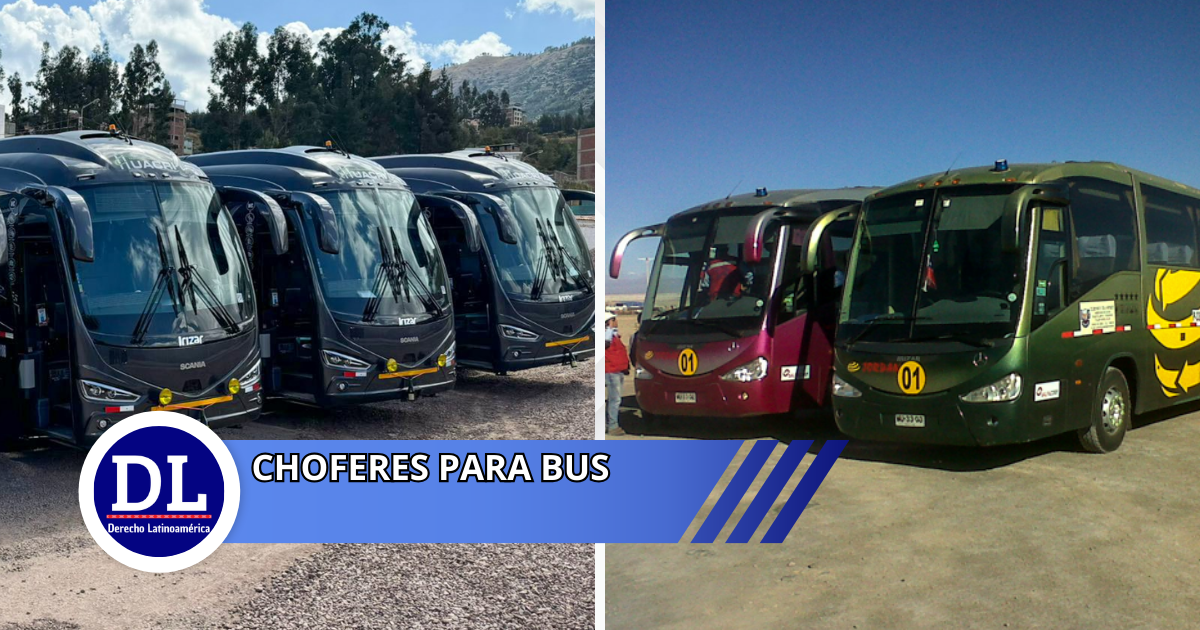 choferes para Bus