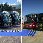 choferes para Bus