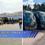 choferes para Bus y Minibus