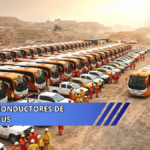 Conductores de bus