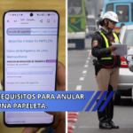 requisitos para anular una papeleta
