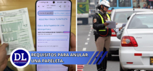 requisitos para anular una papeleta