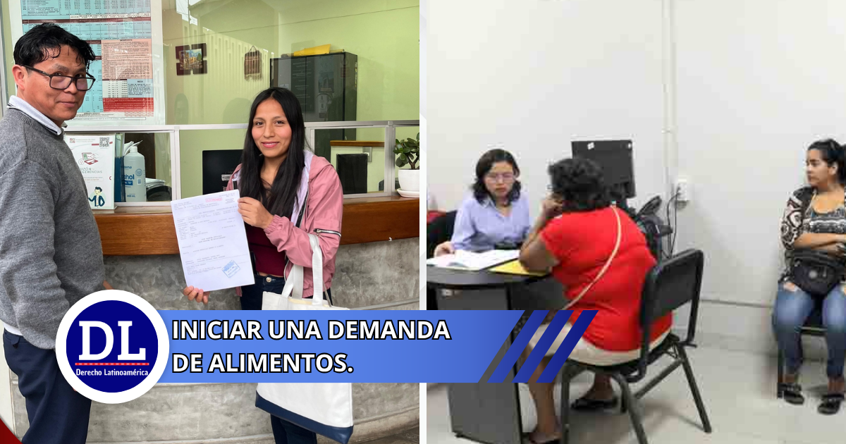 requisitos para iniciar una demanda de alimentos