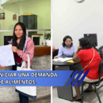 requisitos para iniciar una demanda de alimentos