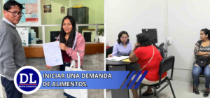 requisitos para iniciar una demanda de alimentos