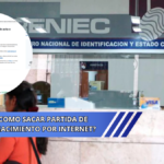 consulta cuantos vehiculos tiene una persona o empresa