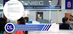 consulta cuantos vehiculos tiene una persona o empresa