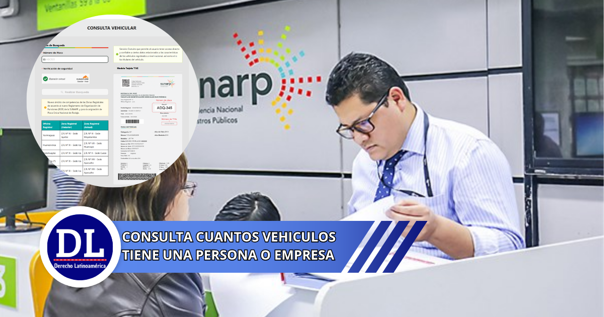 consulta cuantos vehiculos tiene una persona o empresa
