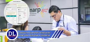 consulta cuantos vehiculos tiene una persona o empresa