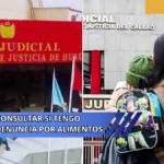 consultar si tengo denuncia por alimentos