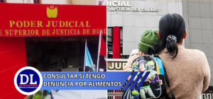 consultar si tengo denuncia por alimentos