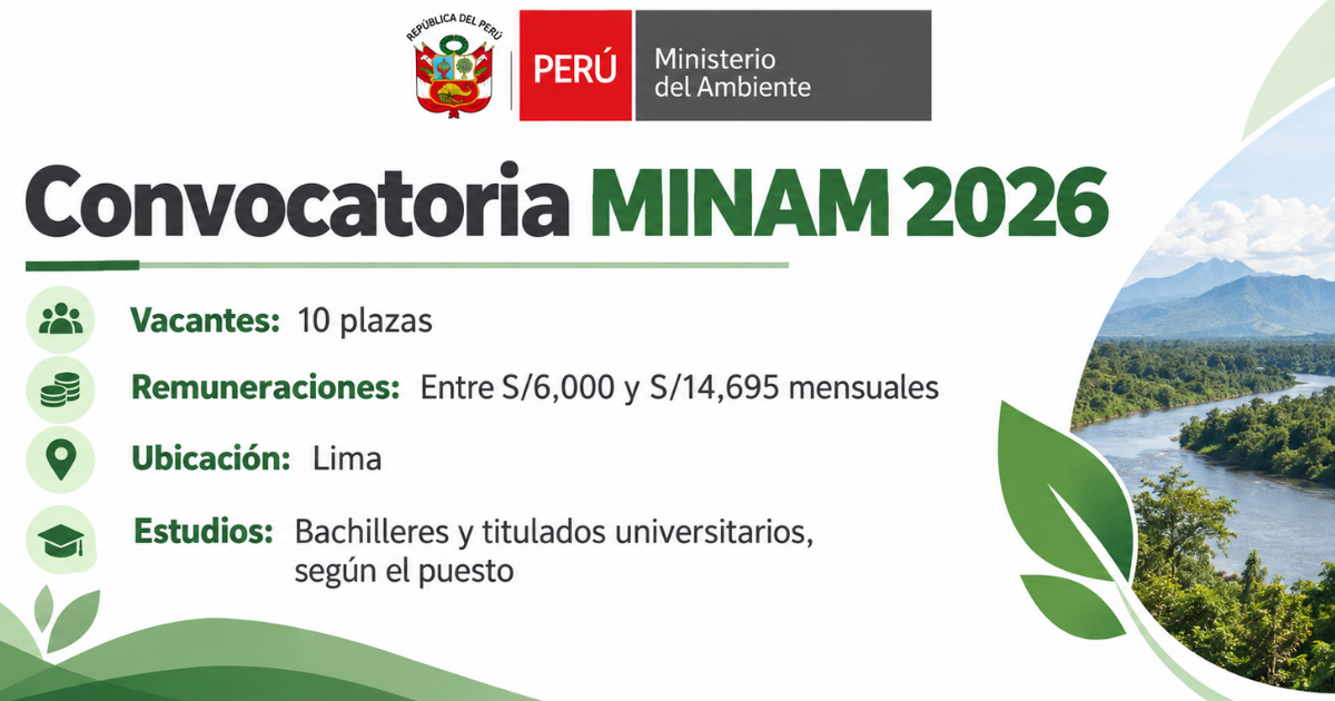 Convocatoria MINAM 2026