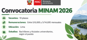 Convocatoria MINAM 2026